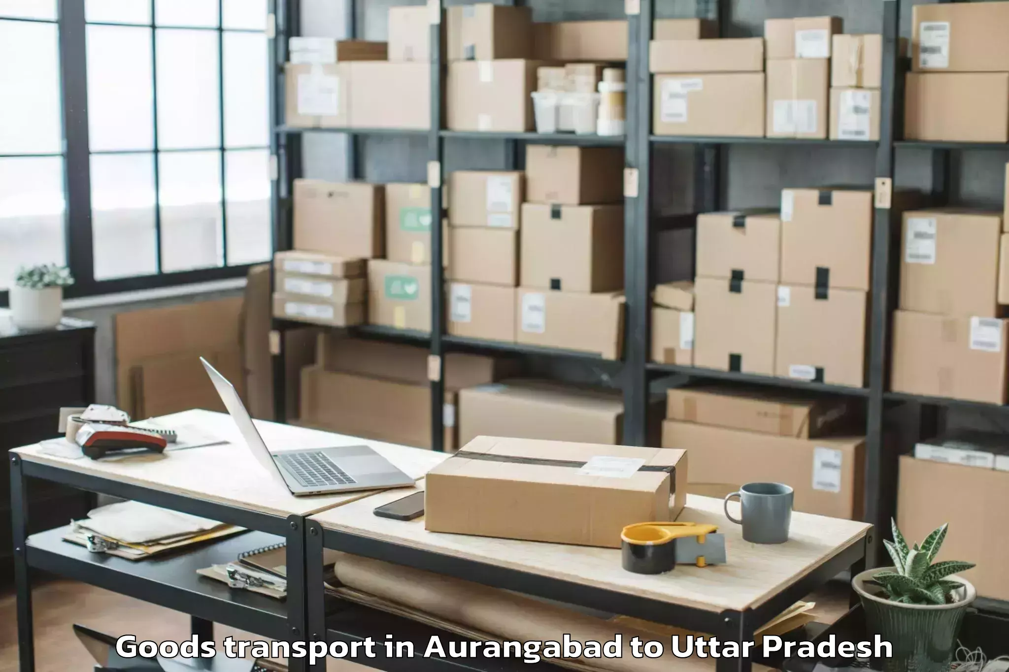 Top Aurangabad to Amity University Gautam Budh N Goods Transport Available